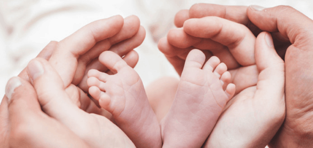 EGG DONATION SERVICES
